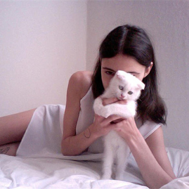 小森林素材铺 第193张.jpg